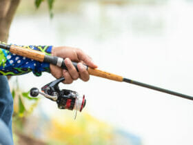 Trota Lago Gare e Manifestazioni
