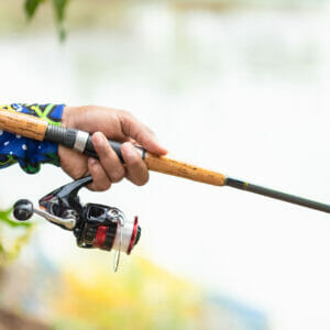 Trota Lago Gare e Manifestazioni