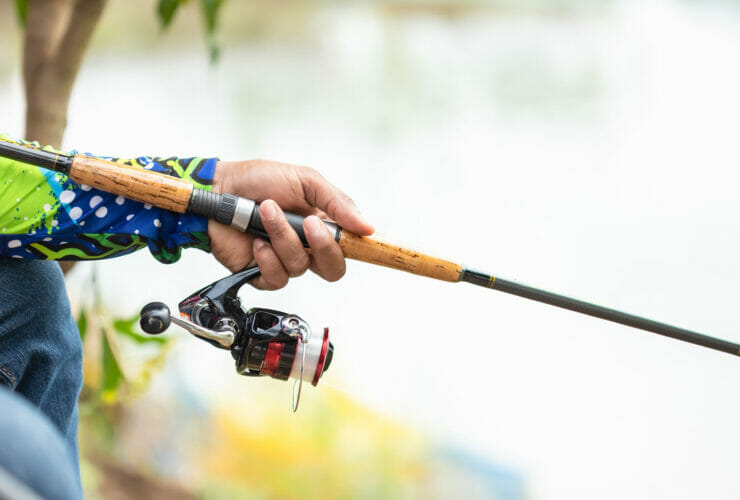 Trota Lago Gare e Manifestazioni