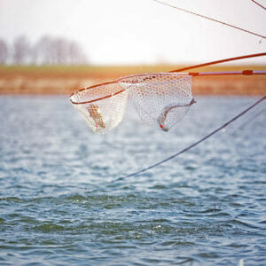 Trout Area Classifiche