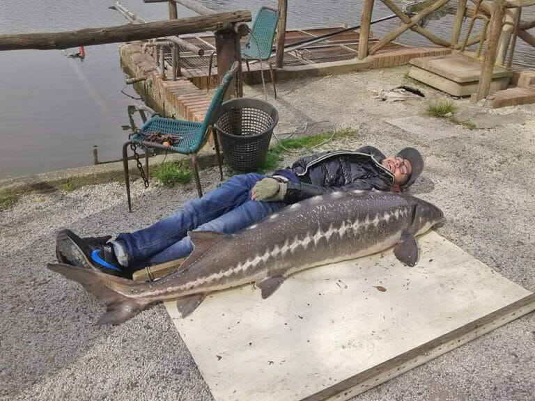 lago nievole pesca sportiva storione