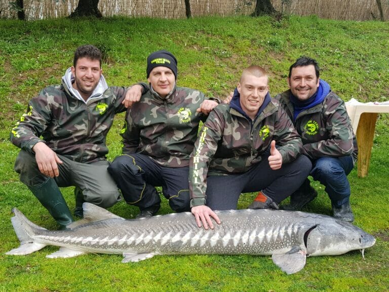 lago nievole storione bianco