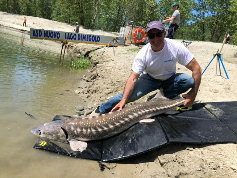 Pesca allo storione lago di Megolo
