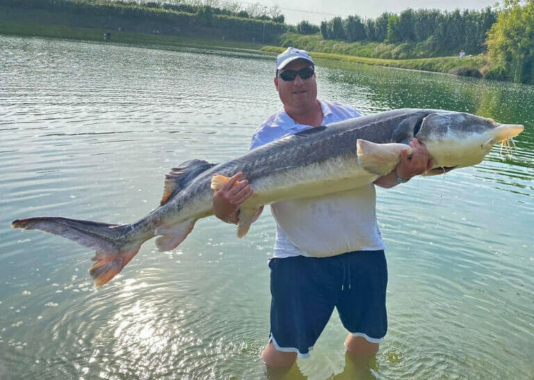 pesca quattro laghi storione