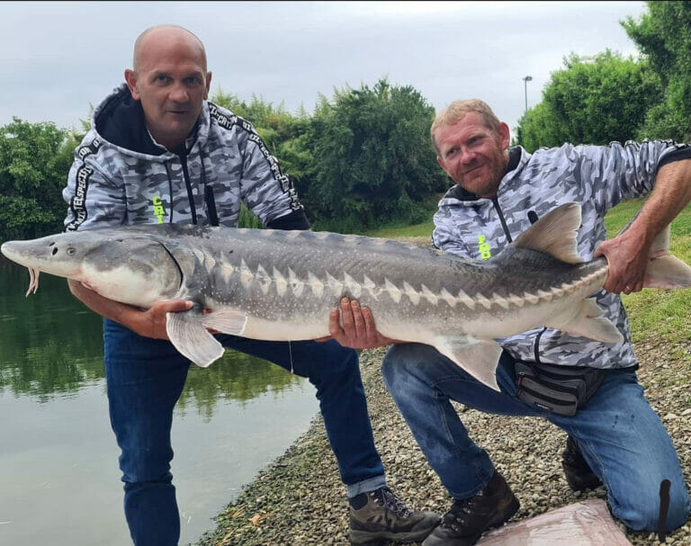 pesca sportiva quattro laghi pesca allo storione
