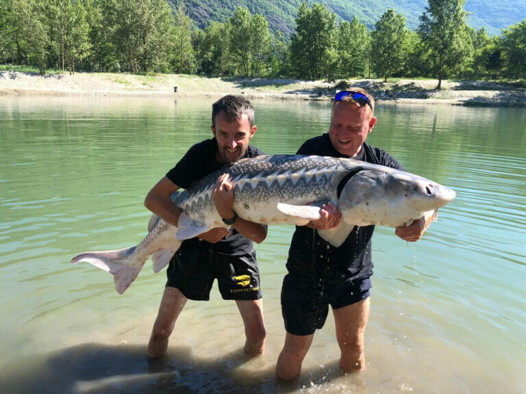Storione ASD lago di Megolo