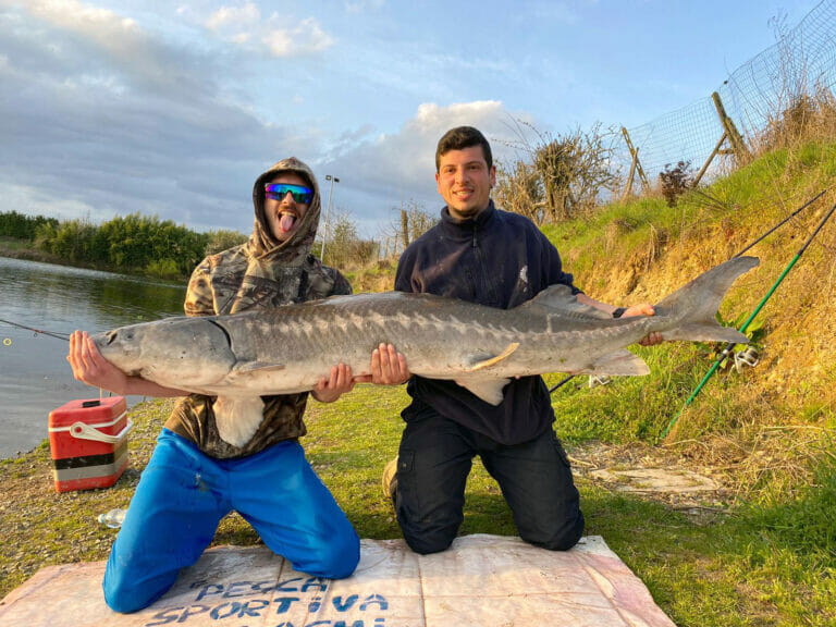 storione quattro laghi