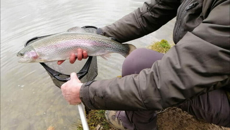 lago andreuccio trota salmonata