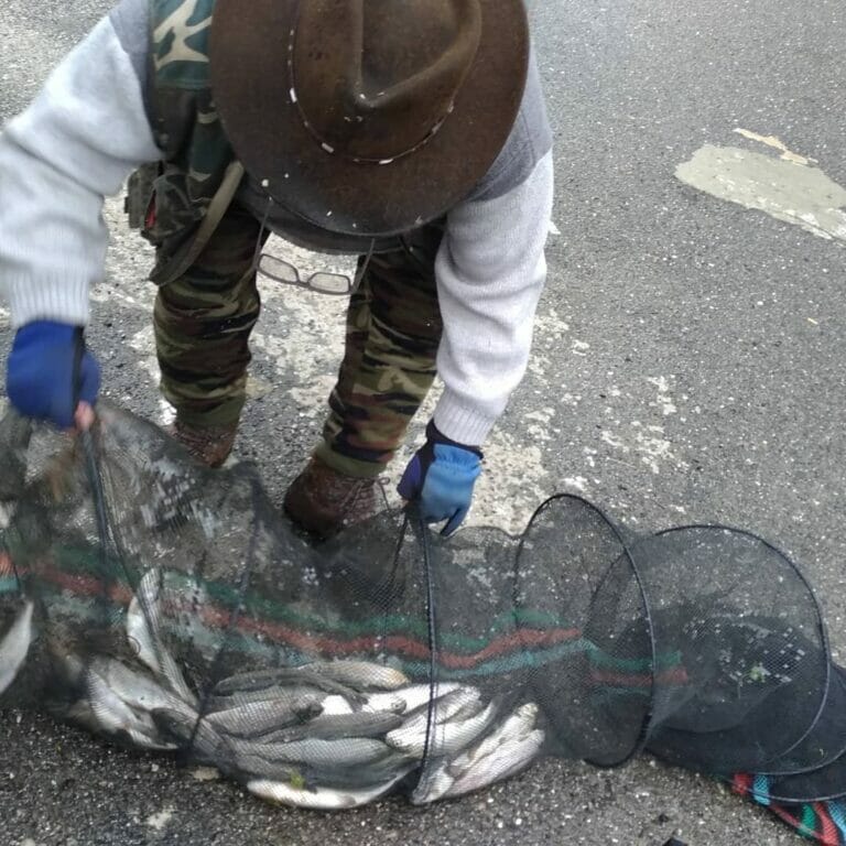 lago bernardi grande cattura