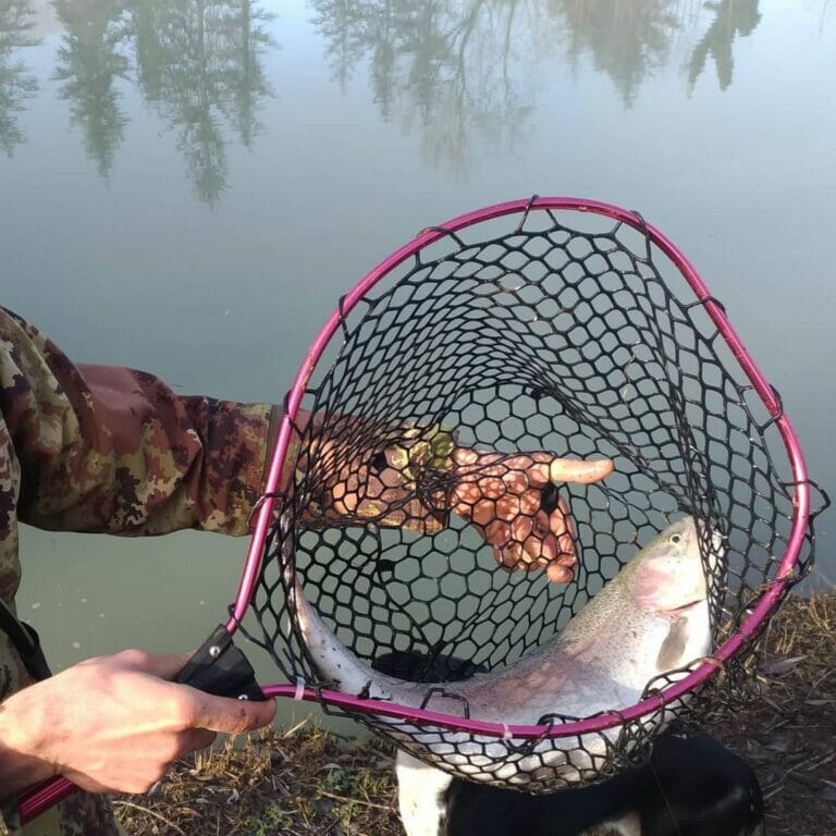 rnardi_ guadino trout area