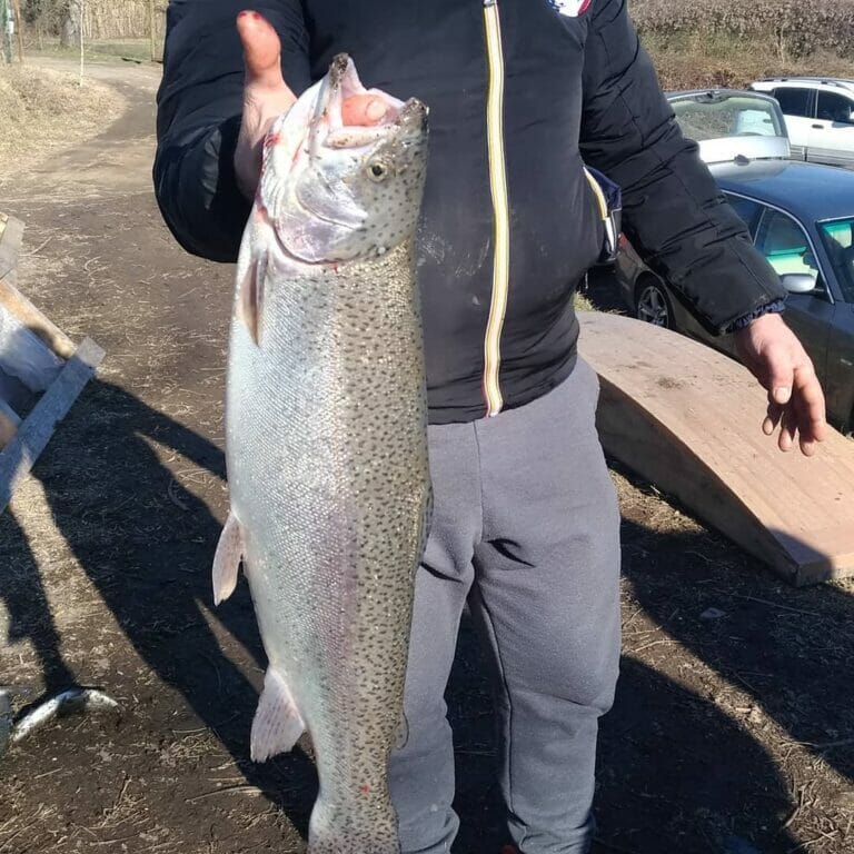 lago bernardi trota gigante_ 2