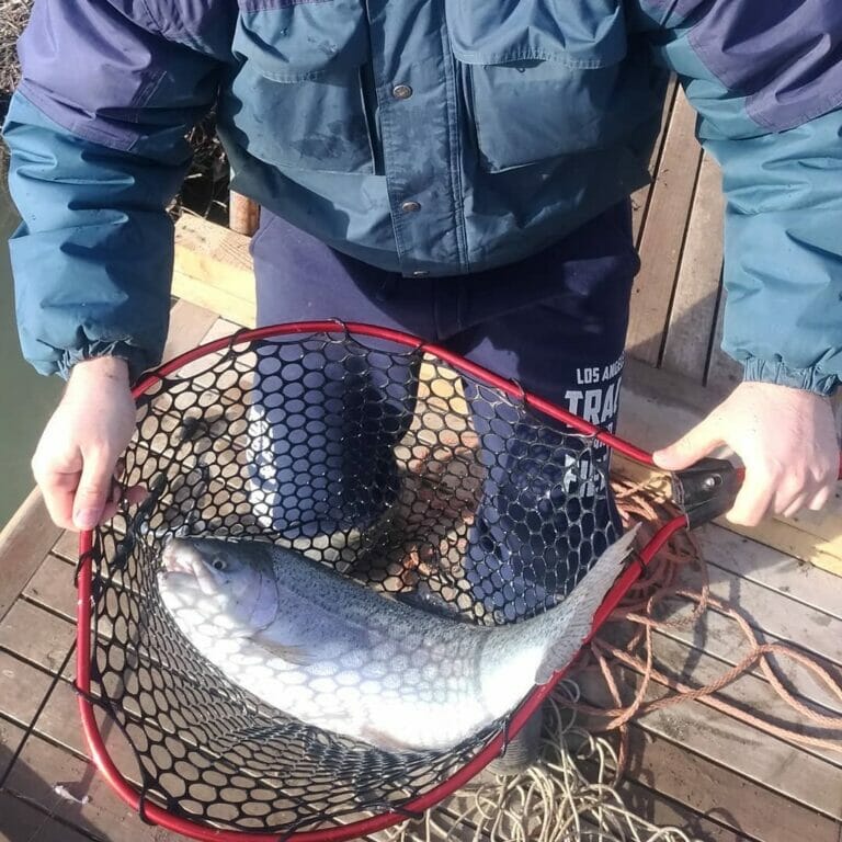 lago bernardi trota grossa