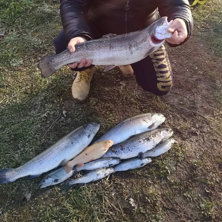 lago bernardi trote big