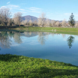 lago bernardi vista lago