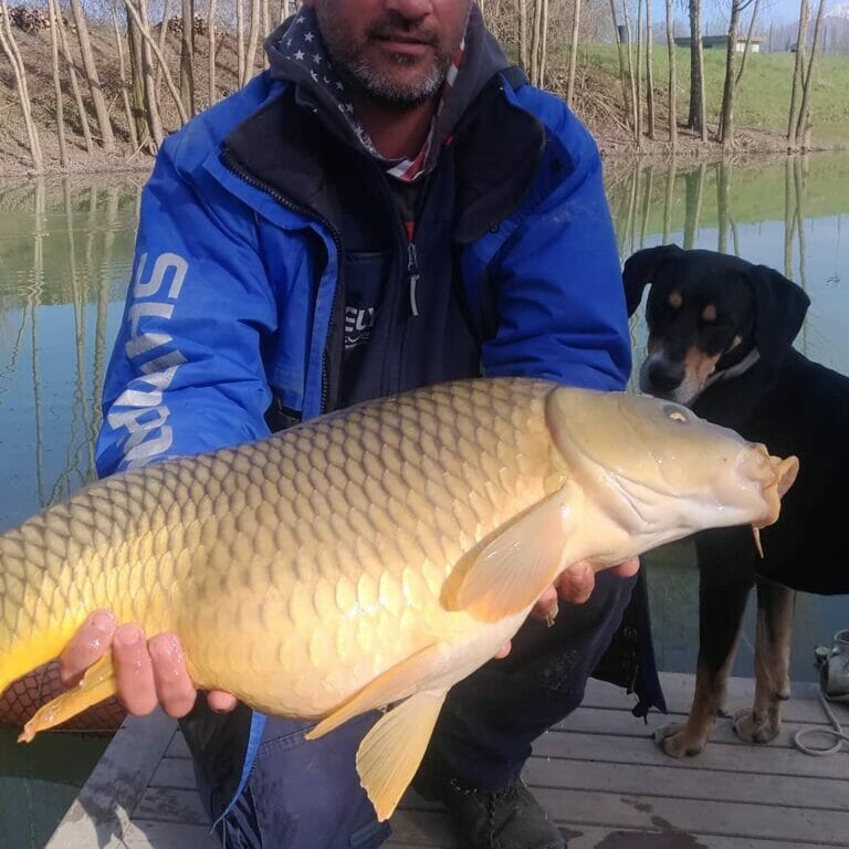 lago sisti grossa carpa