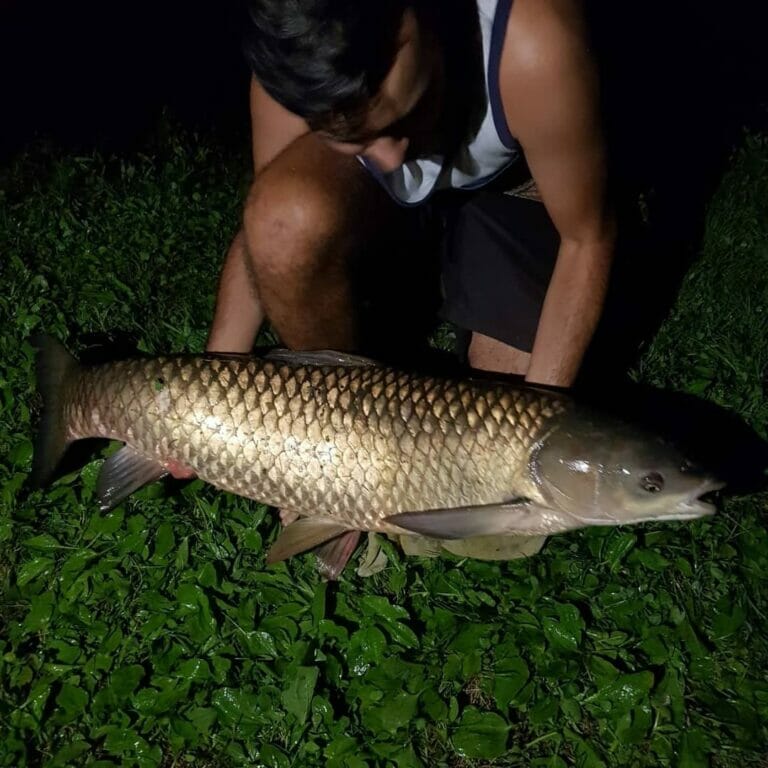 lago sisti grossa cattura