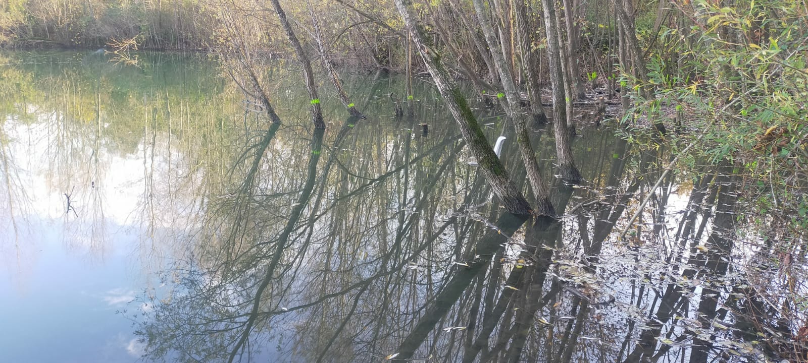 lago_ sisti scorcio
