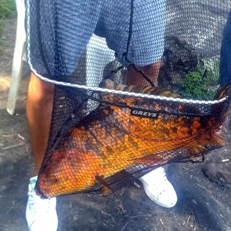 lago sisti splendida carpa colorata