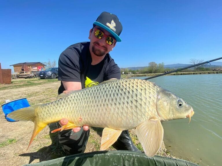 nuovi 3 laghi carpa