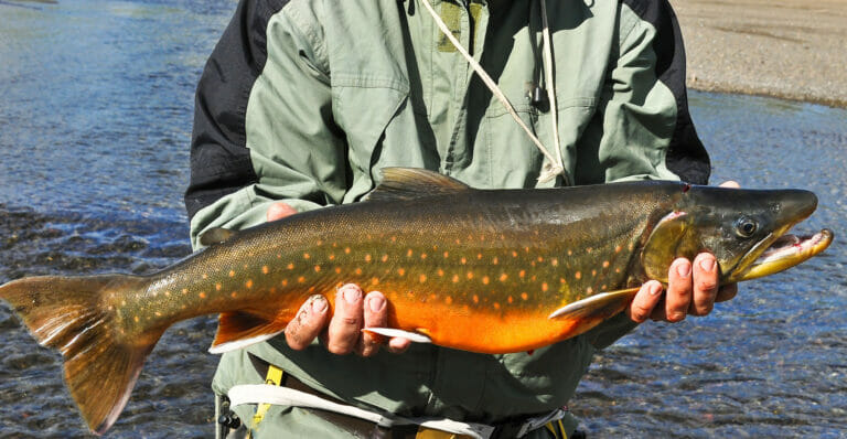 pesca del salmerino in passata