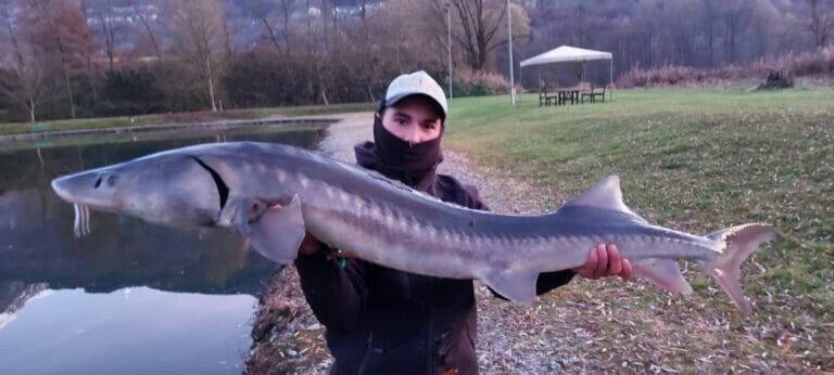 laghetto di chiuro storione 2