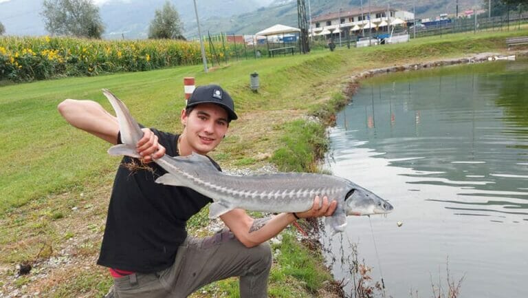 laghetto di chiuro storione 5