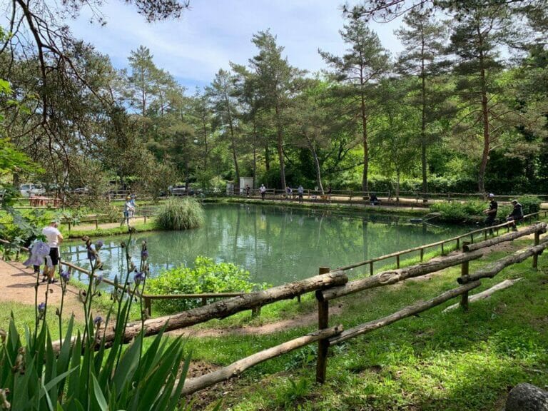 laghi bellavalle veduta 7