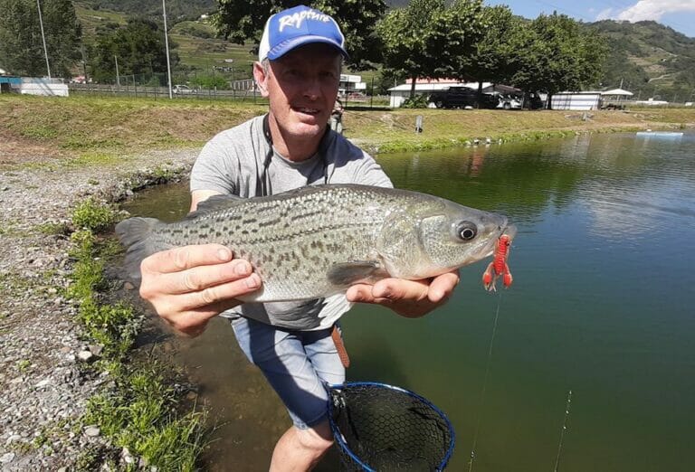 lago di grosotto cattura