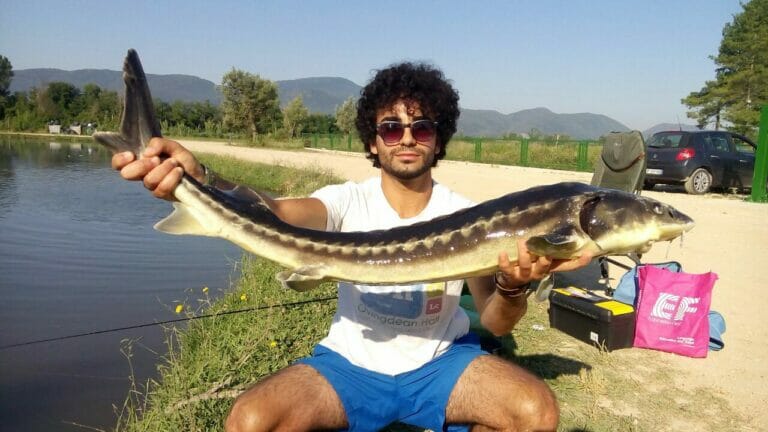 lago sistoriccio storione