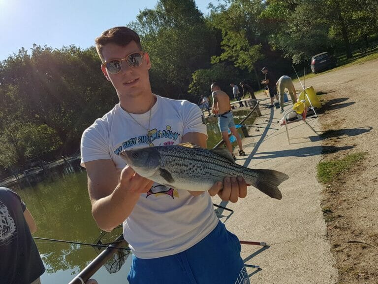 lago sistoriccio striped bass