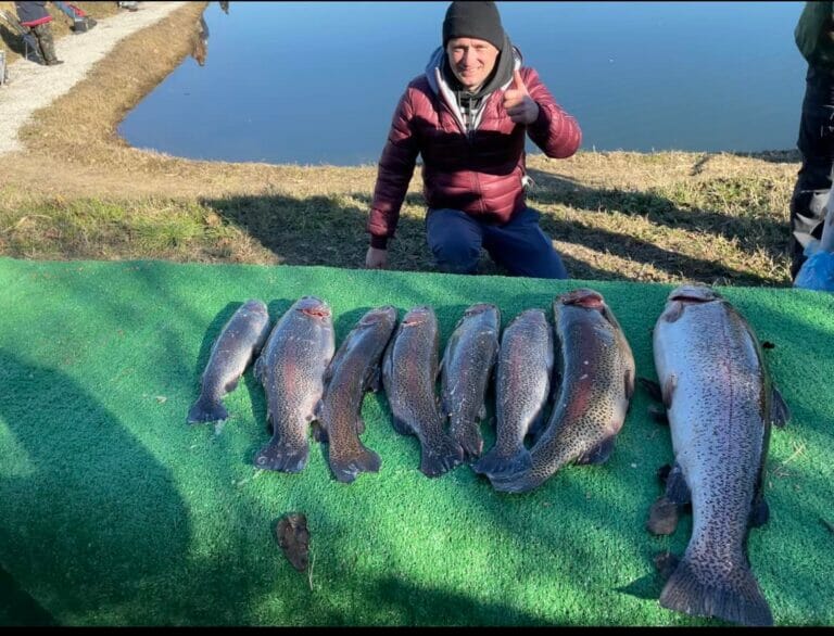 lago la bicocca 2 trote