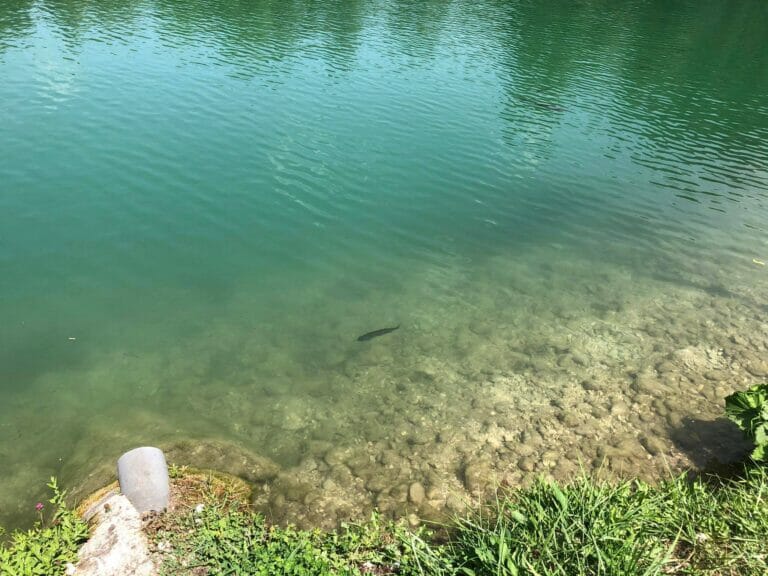 lago parco rio sponda