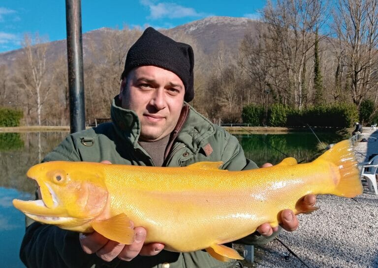 lago parco rio trota albina