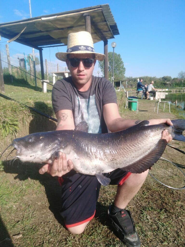 nuova 2 laghi pesce gatto