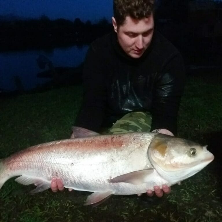 nuova 2 laghi temolo russo