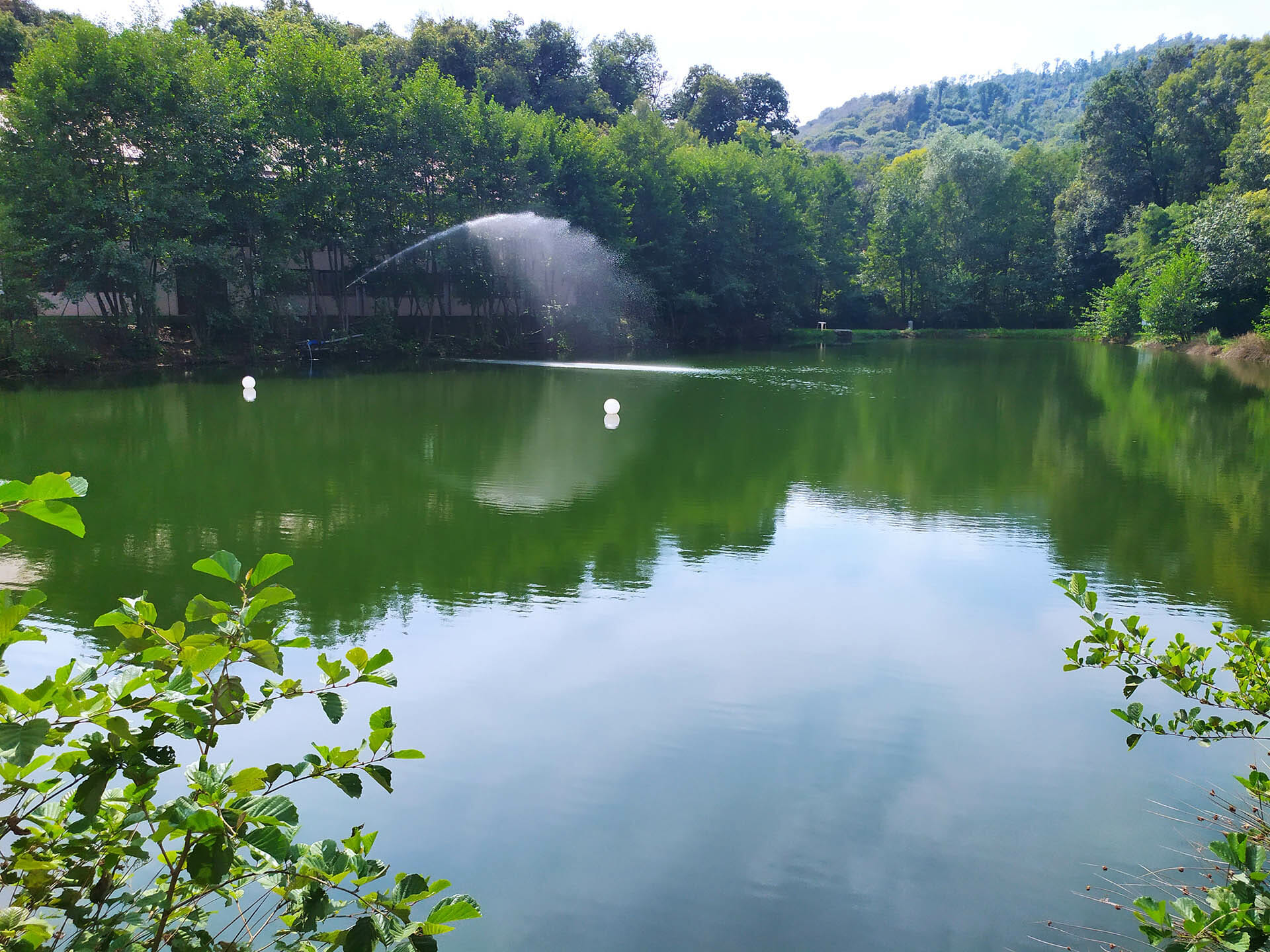 laghetto-green-village-pesca-facile