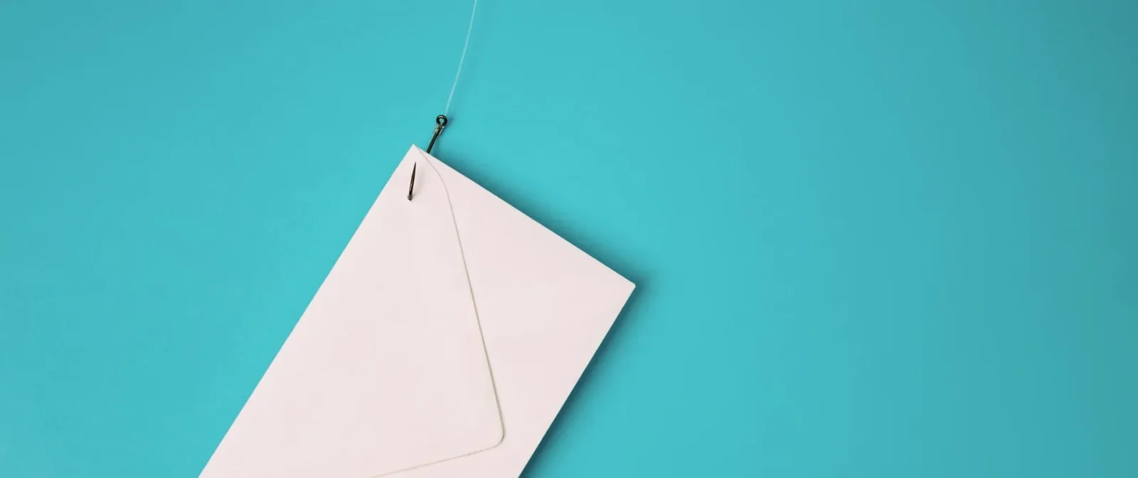 pesca facile contatti