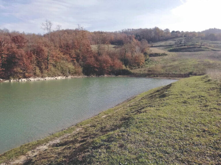 Aps Lake pesca luccio black bass