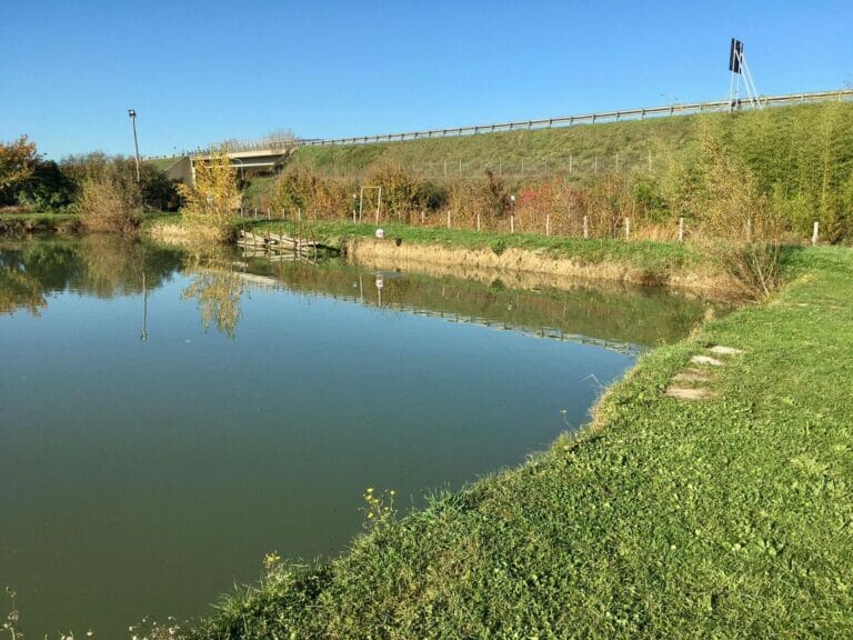Lago il Fiore San Giustino Aps Sansepolcro