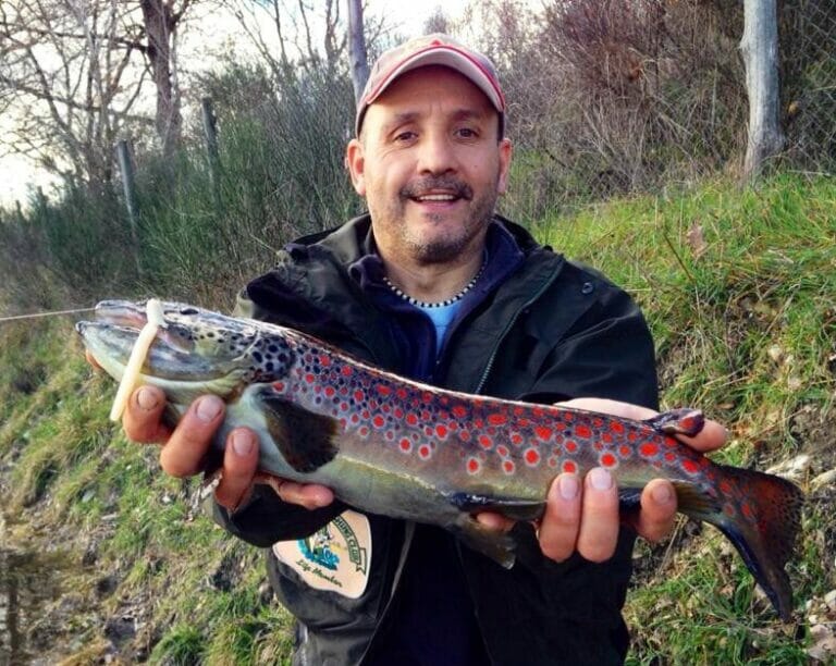 Lago Il Fiore Aps Trota Fario