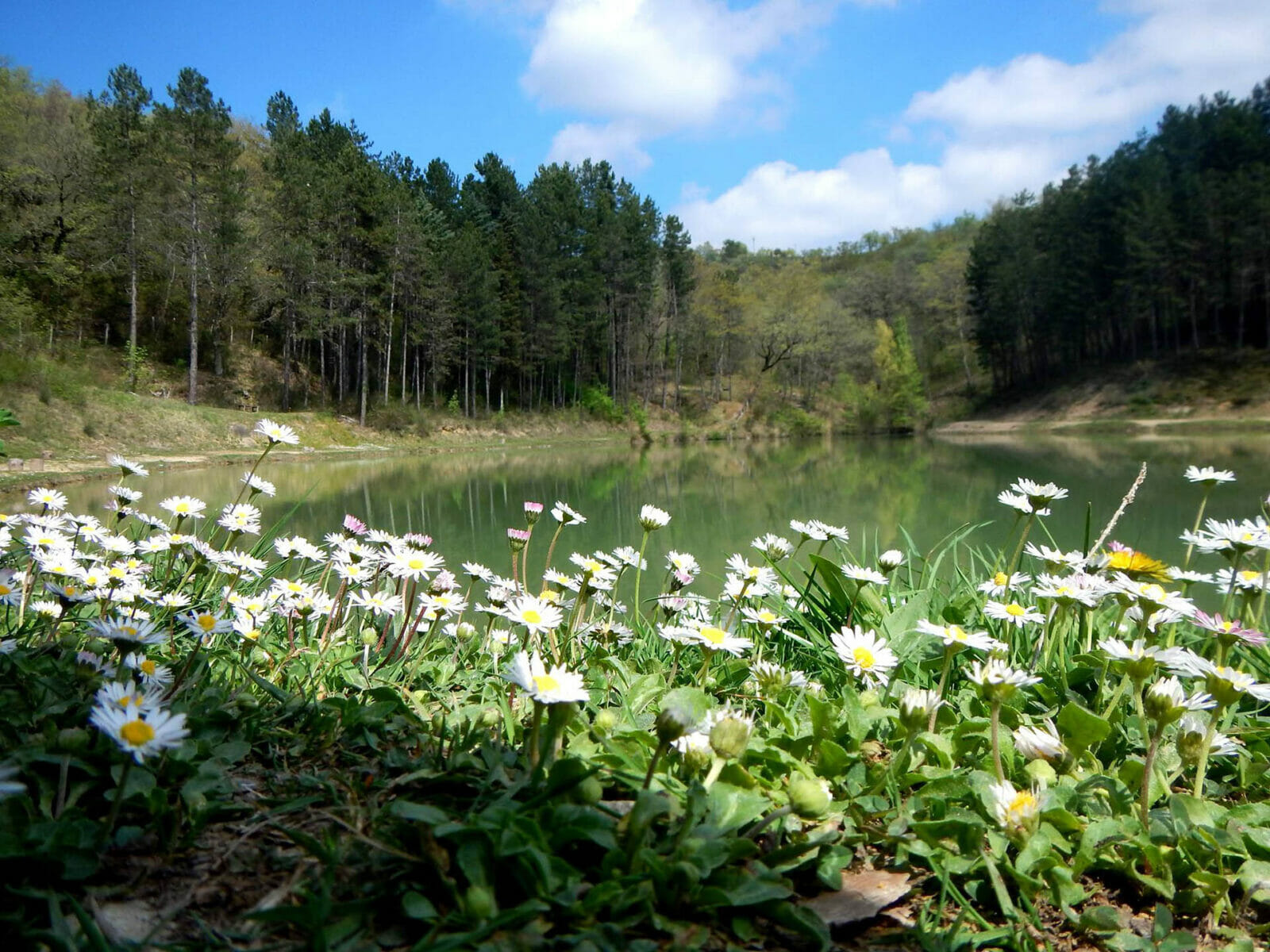 Lago Verde Pesca Mosca Spining Pieve Santo Stefano Toscana Arezzo