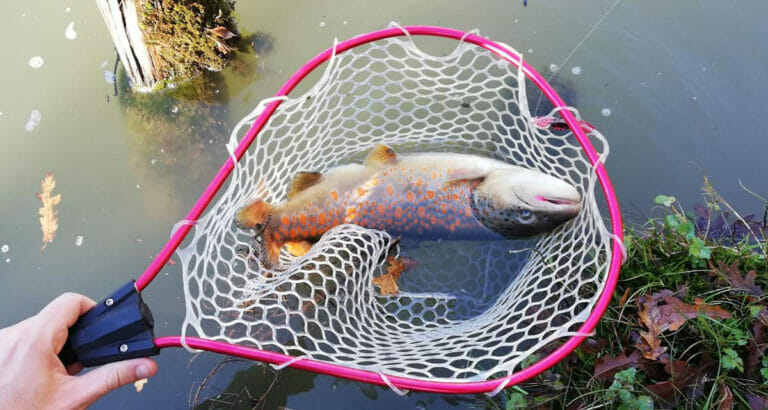 fario puccini laghetti riserva fario nuova parco laghi