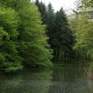 laghetti della riserva fario