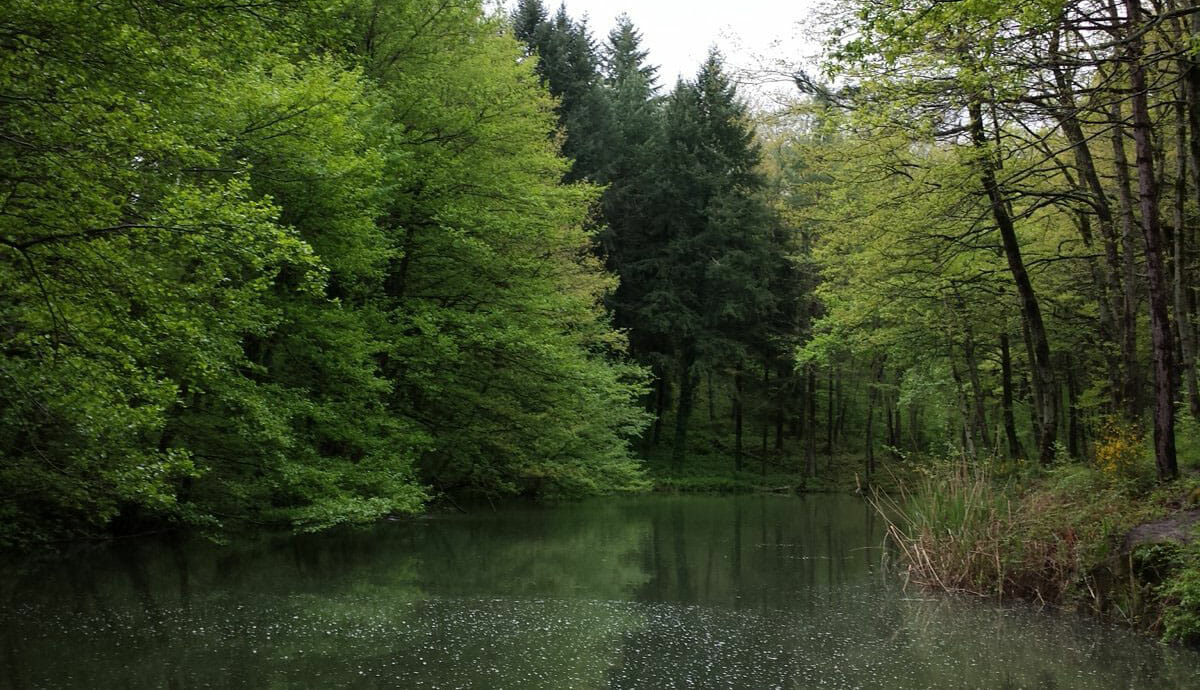 laghetti della riserva fario