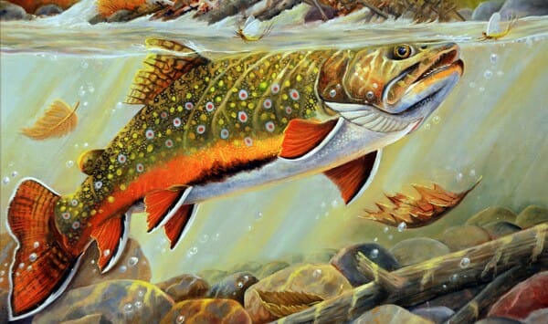 pesca a mosca pesca con la mosca