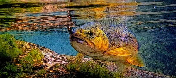 pesca a mosca pesca con mosca