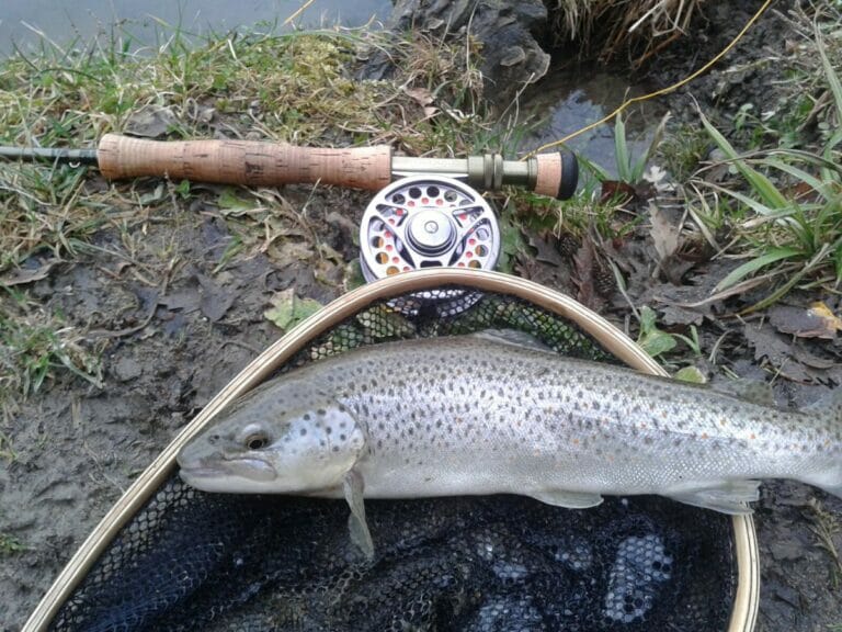 trota nuova parco laghi