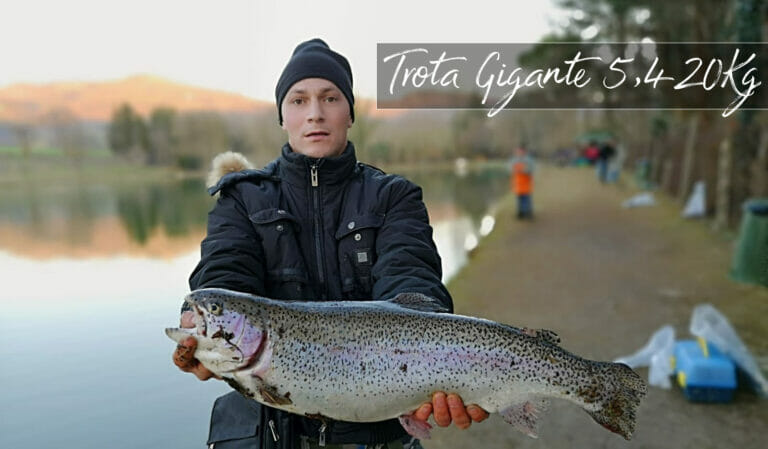 Trota Gigante 5420kg lago la bicocca oasi