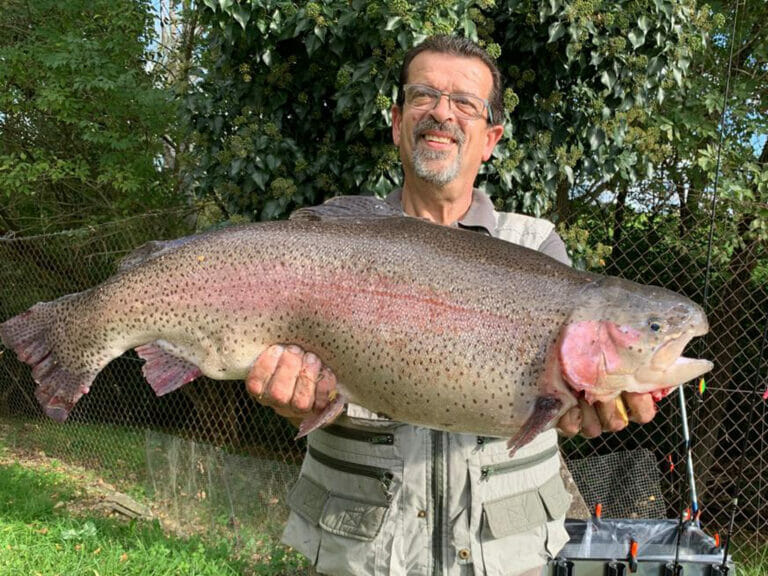 trota iridea gigante